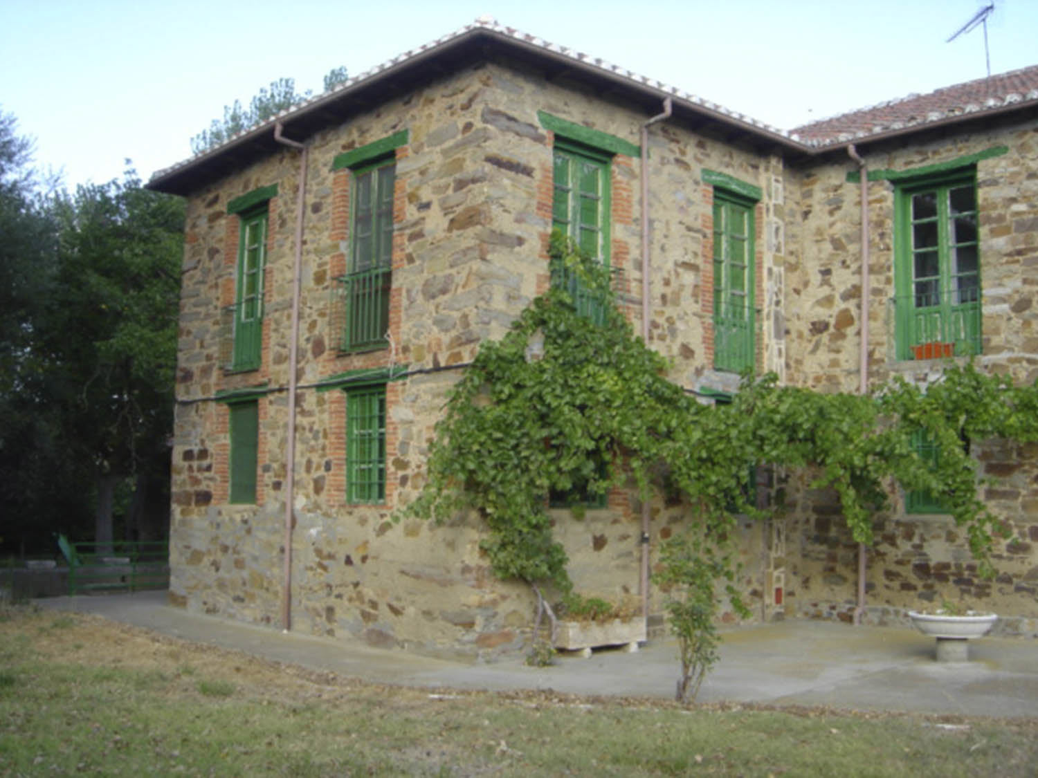Imagen 2