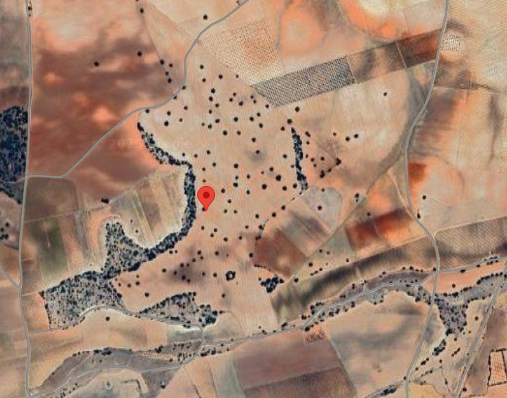 Lote compuesto por 8 fincas rústicas en término de Campo de Criptana y Alcázar de San Juan, (Ciudad Real). FR 11449, 11892, 60034, 46155, 1755, 11891, 46156 y 46157 del RP de Alcázar de San Juan nº 1 y 2.