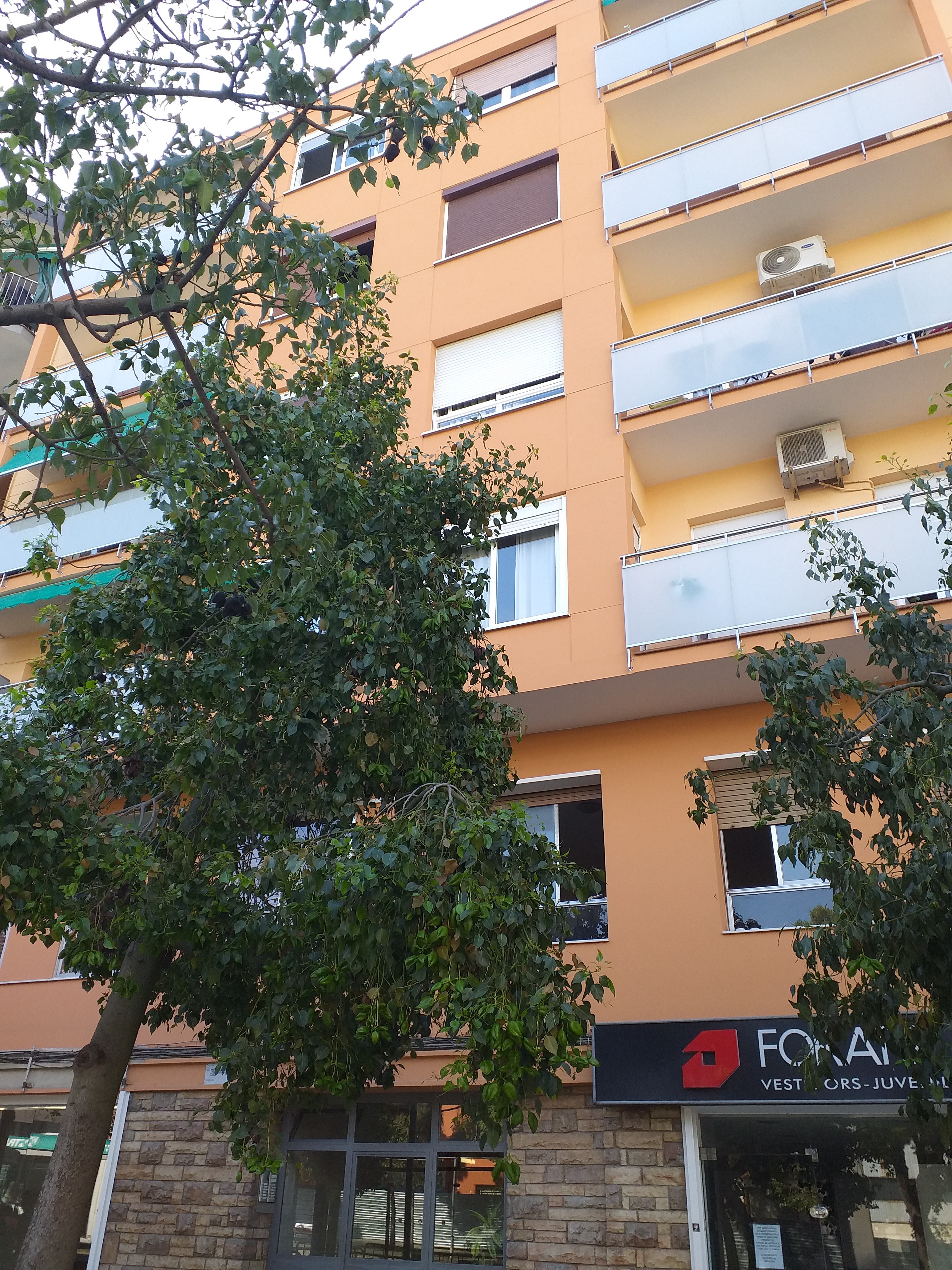 50% del Piso 2º D, en Av/ de Conellá 117 de Esplugues de Llobregat, (Barcelona). FR 4751 RP Esplugues de Llobregat