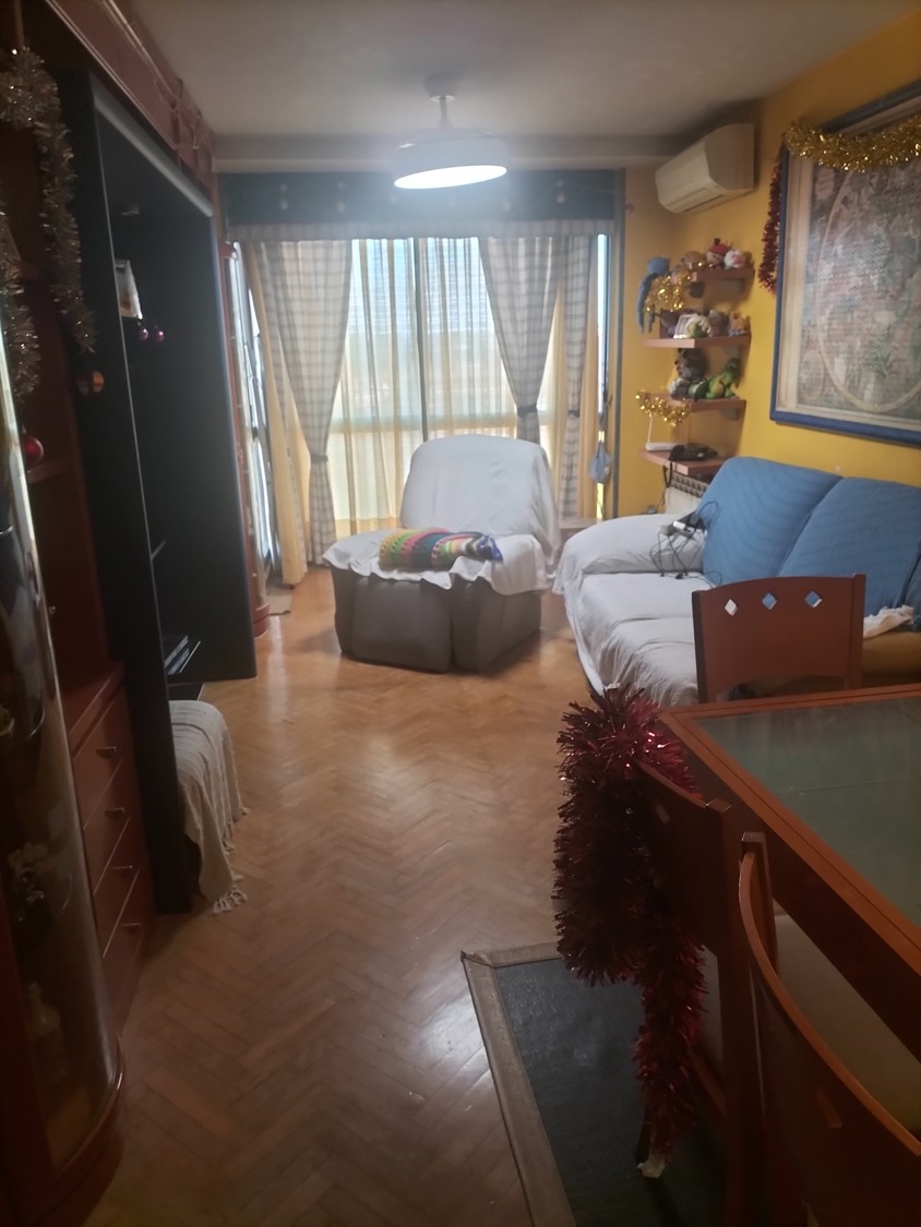 Imagen 5