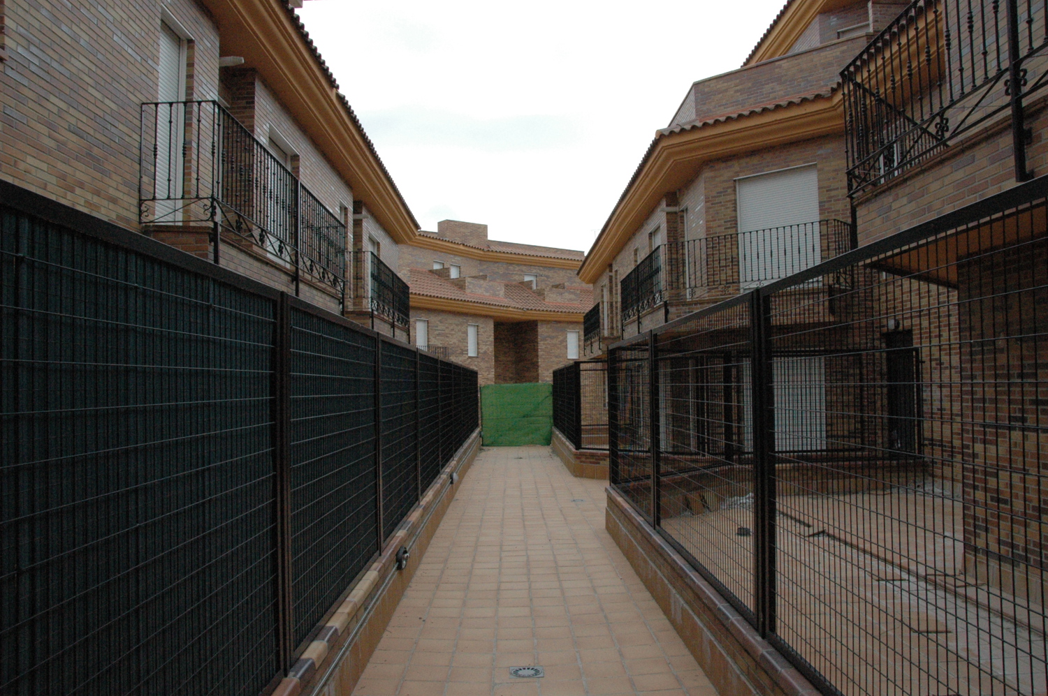 Imagen 8