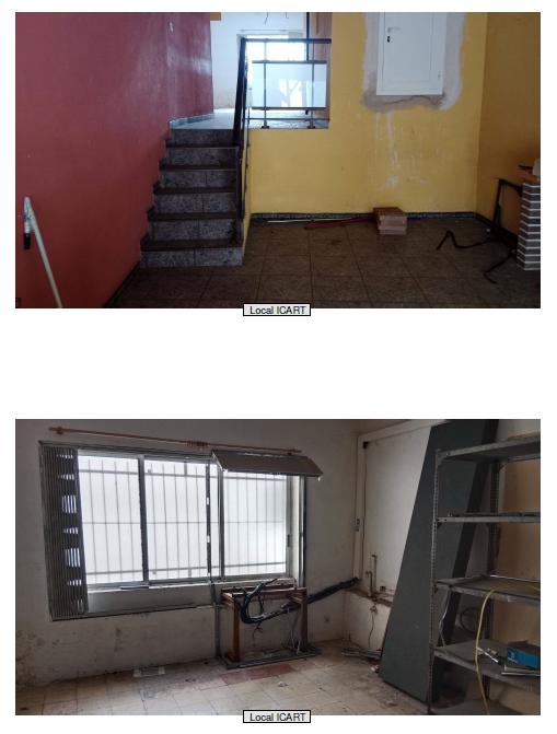 Imagen 13